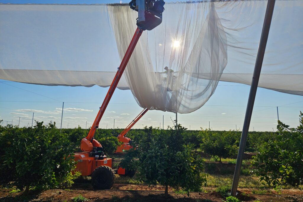 Instagram post from elevadoewp. This post is in position 1.